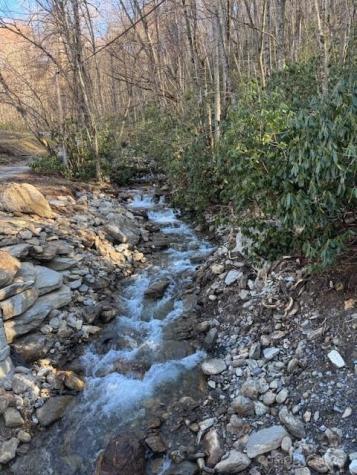 Tbd Sorrells Creek Road Canton NC 28716