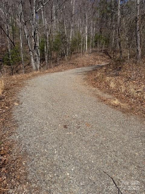 Tbd Sorrells Creek Road Canton NC 28716