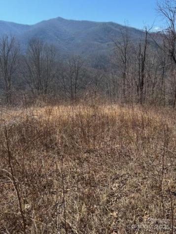 Tbd Sorrells Creek Road Canton NC 28716