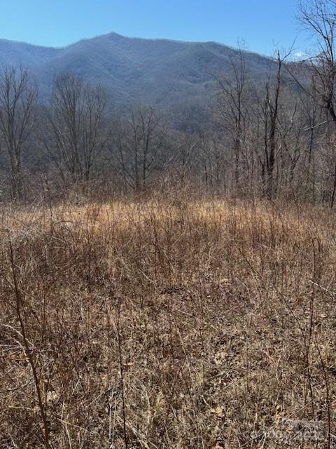 Tbd Sorrells Creek Road Canton NC 28716
