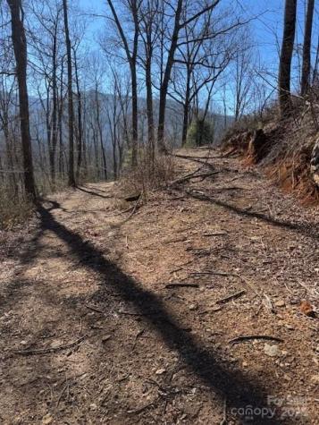 Tbd Sorrells Creek Road Canton NC 28716