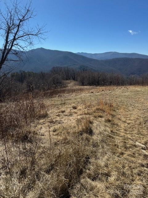 Tbd Sorrells Creek Road Canton NC 28716