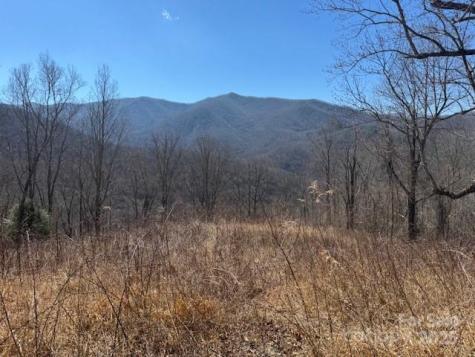 Tbd Sorrells Creek Road Canton NC 28716
