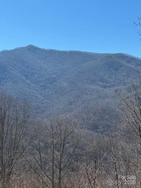 Tbd Sorrells Creek Road Canton NC 28716