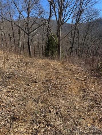 Tbd Sorrells Creek Road Canton NC 28716