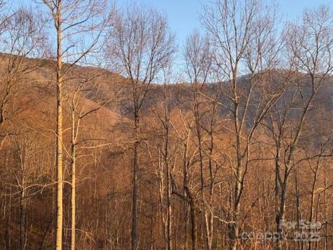 Tbd Sorrells Creek Road Canton NC 28716