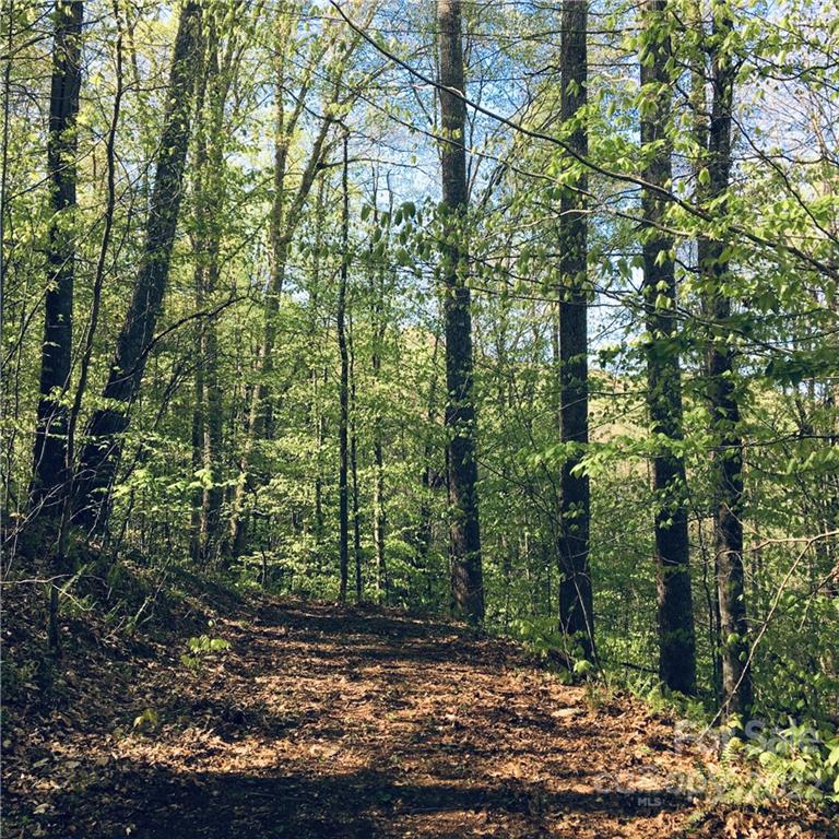 57 Fern Hill Drive Mars Hill NC 28754