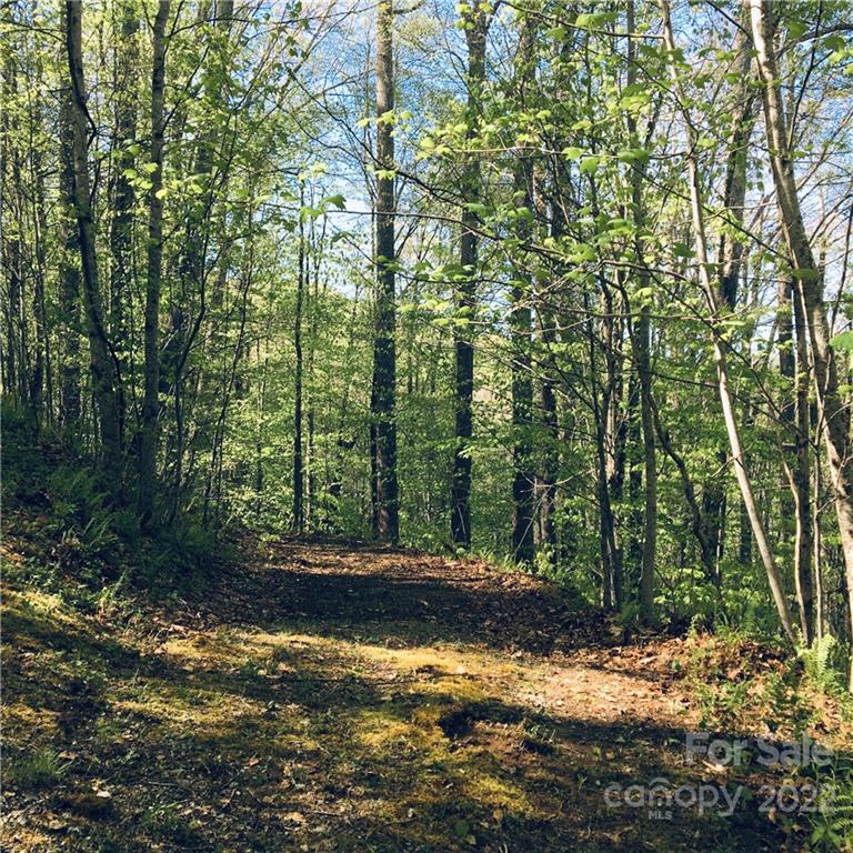 57 Fern Hill Drive Mars Hill NC 28754