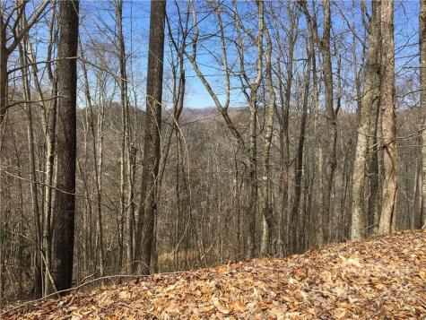 57 Fern Hill Drive Mars Hill NC 28754