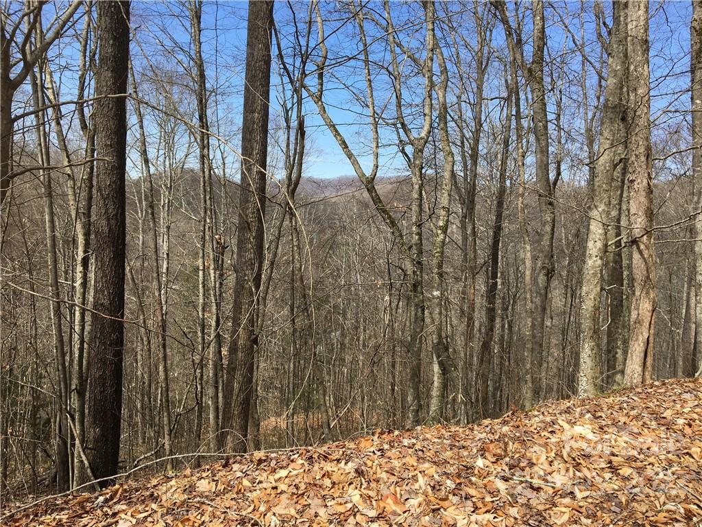 57 Fern Hill Drive Mars Hill NC 28754