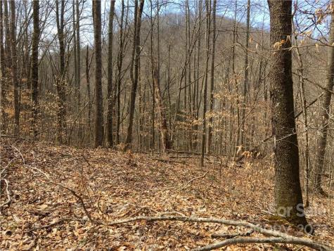 57 Fern Hill Drive Mars Hill NC 28754