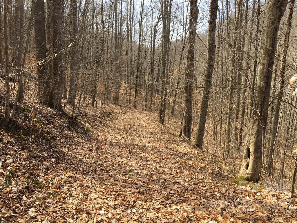 57 Fern Hill Drive Mars Hill NC 28754
