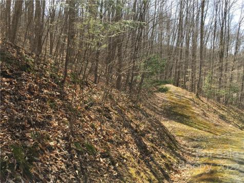 57 Fern Hill Drive Mars Hill NC 28754
