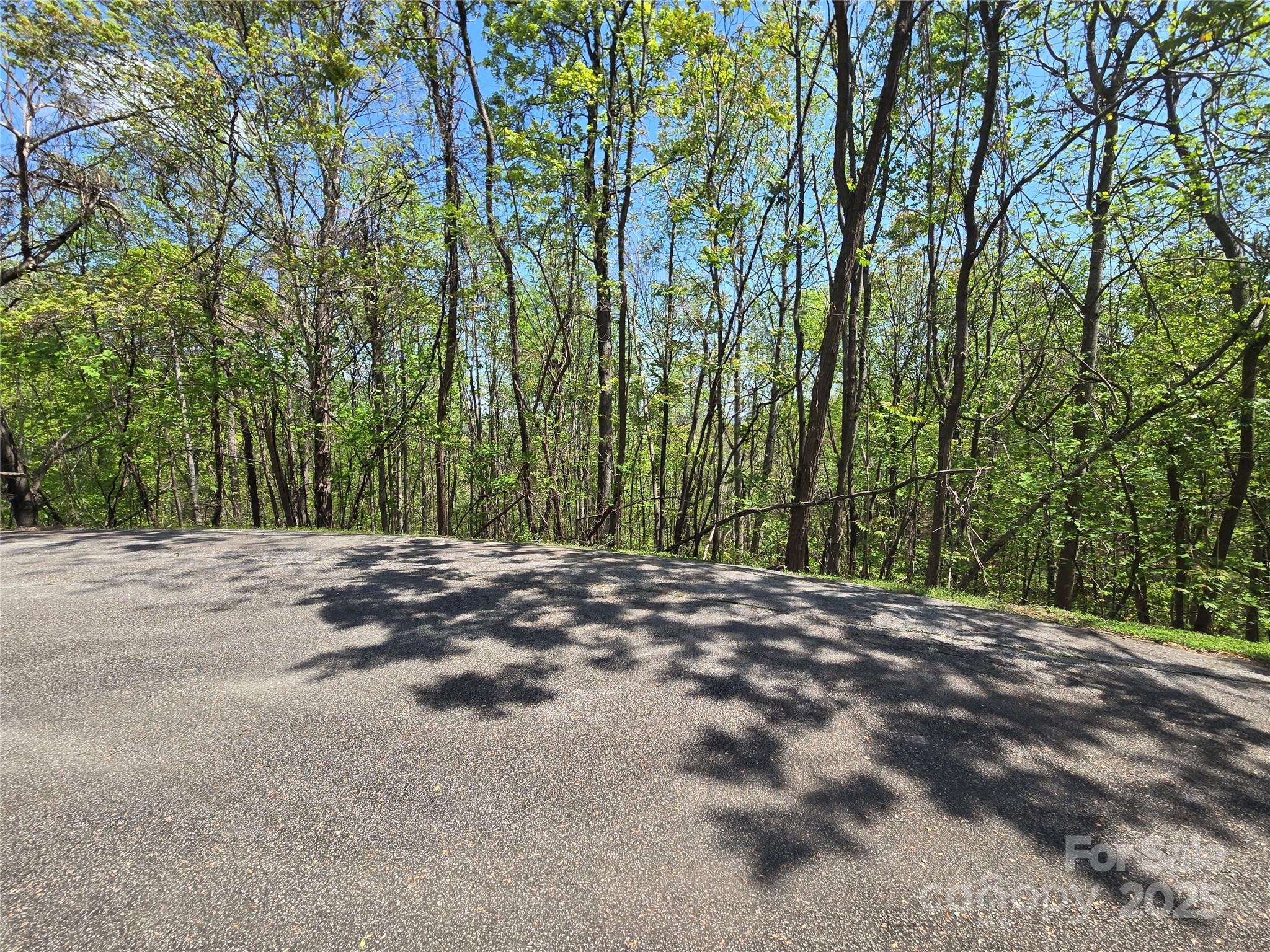 Lot 33 Turkey Fall Lane Lake Lure NC 28746