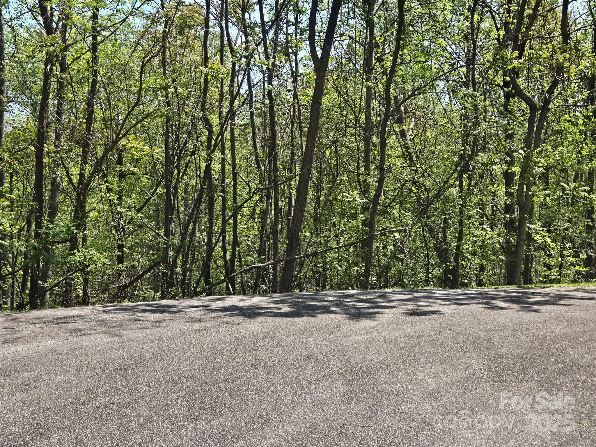 Lot 33 Turkey Fall Lane Lake Lure NC 28746