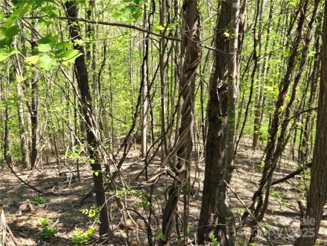Lot 33 Turkey Fall Lane Lake Lure NC 28746