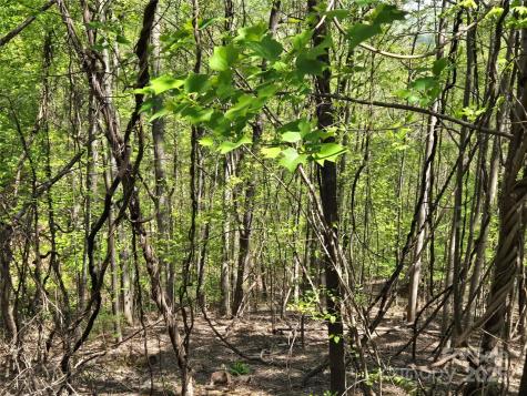 Lot 33 Turkey Fall Lane Lake Lure NC 28746