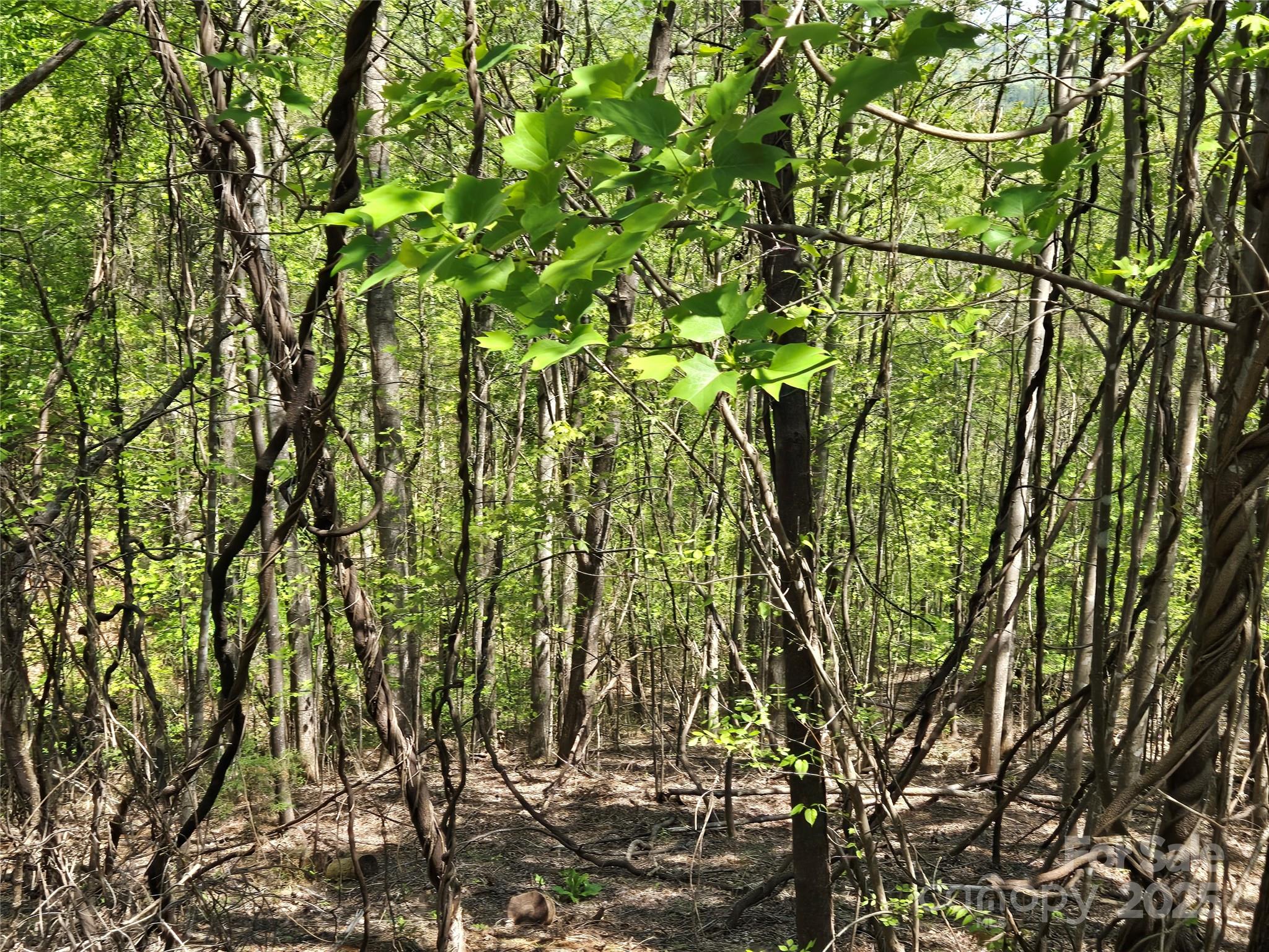 Lot 33 Turkey Fall Lane Lake Lure NC 28746