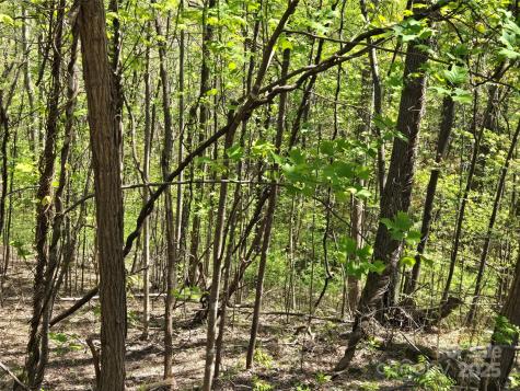 Lot 33 Turkey Fall Lane Lake Lure NC 28746