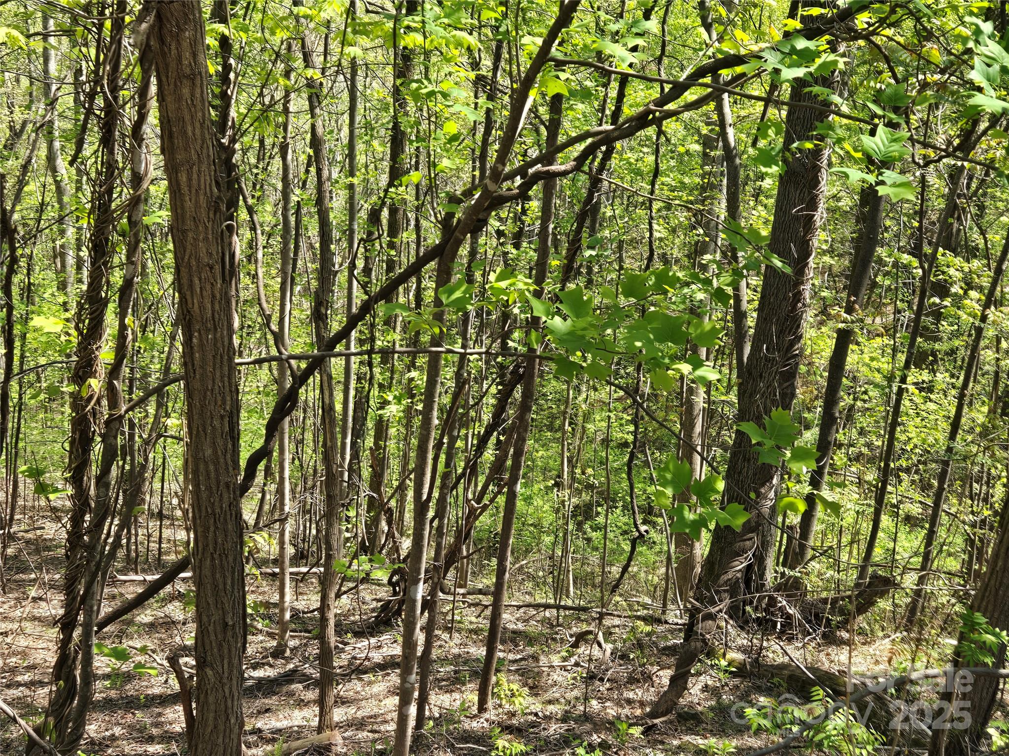 Lot 33 Turkey Fall Lane Lake Lure NC 28746