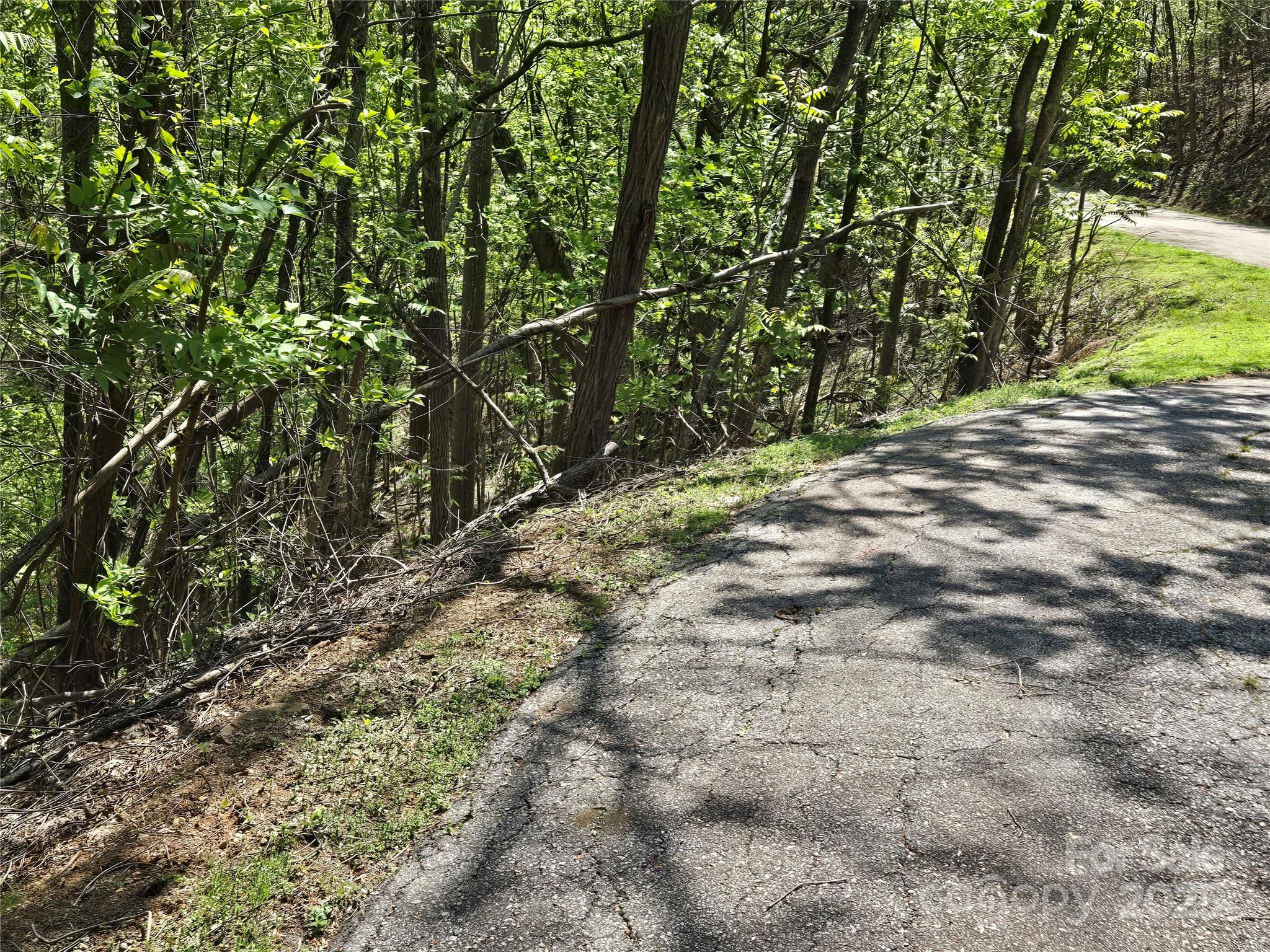 Lot 33 Turkey Fall Lane Lake Lure NC 28746