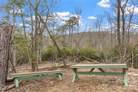 87 Trails End Road Little Switzerland NC 28749