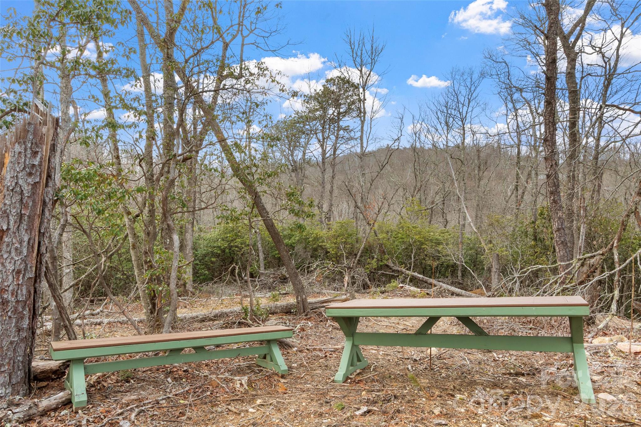 87 Trails End Road Little Switzerland NC 28749