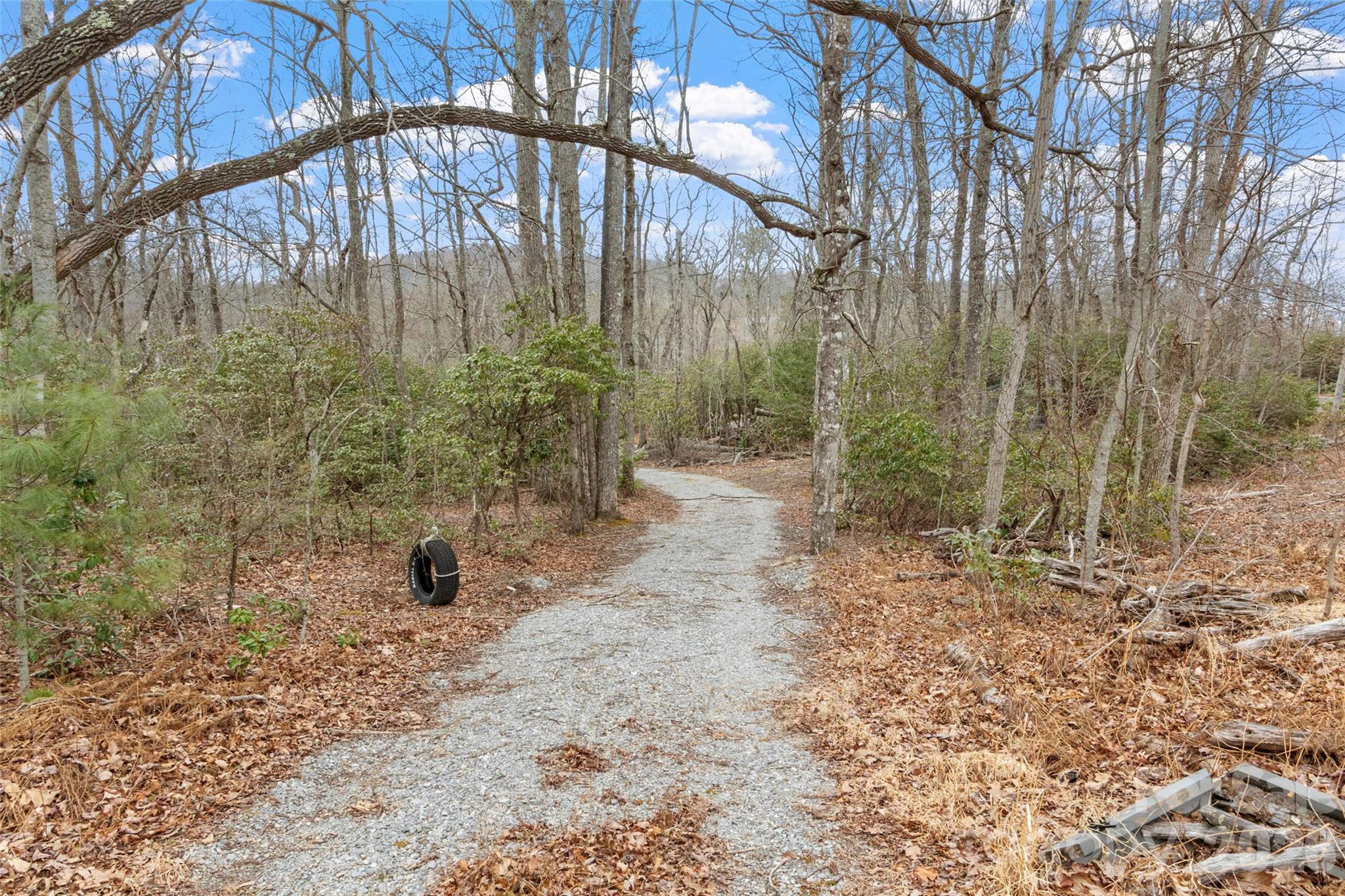 87 Trails End Road Little Switzerland NC 28749