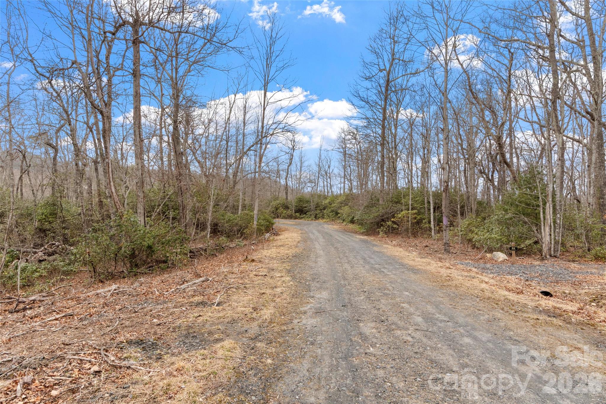 87 Trails End Road Little Switzerland NC 28749