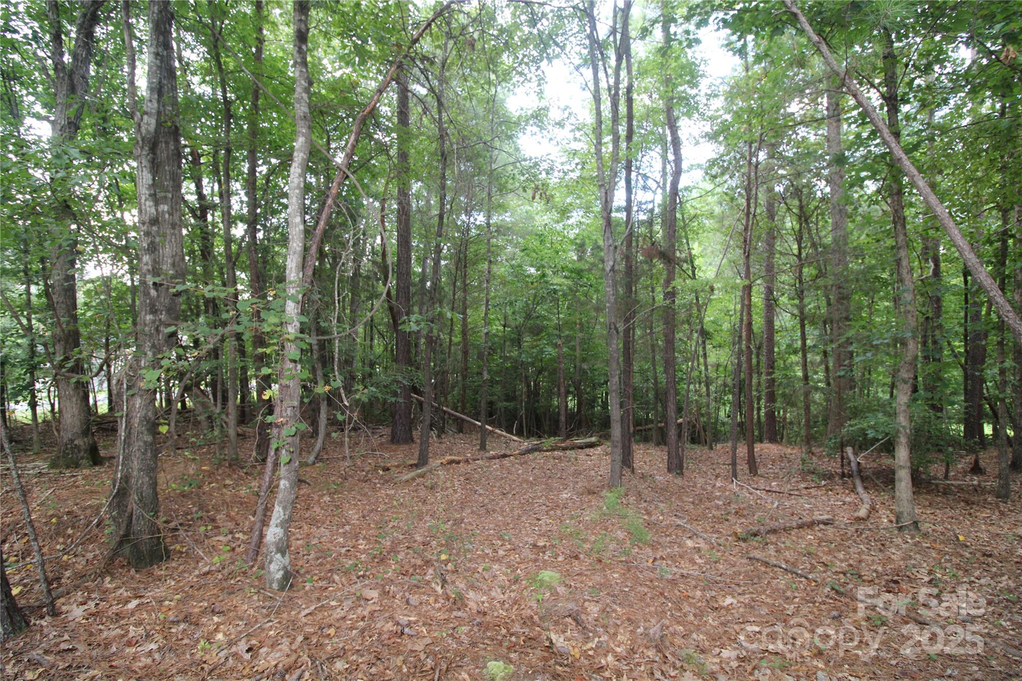 Lot 1 Lake Wylie Drive Rock Hill SC 29732