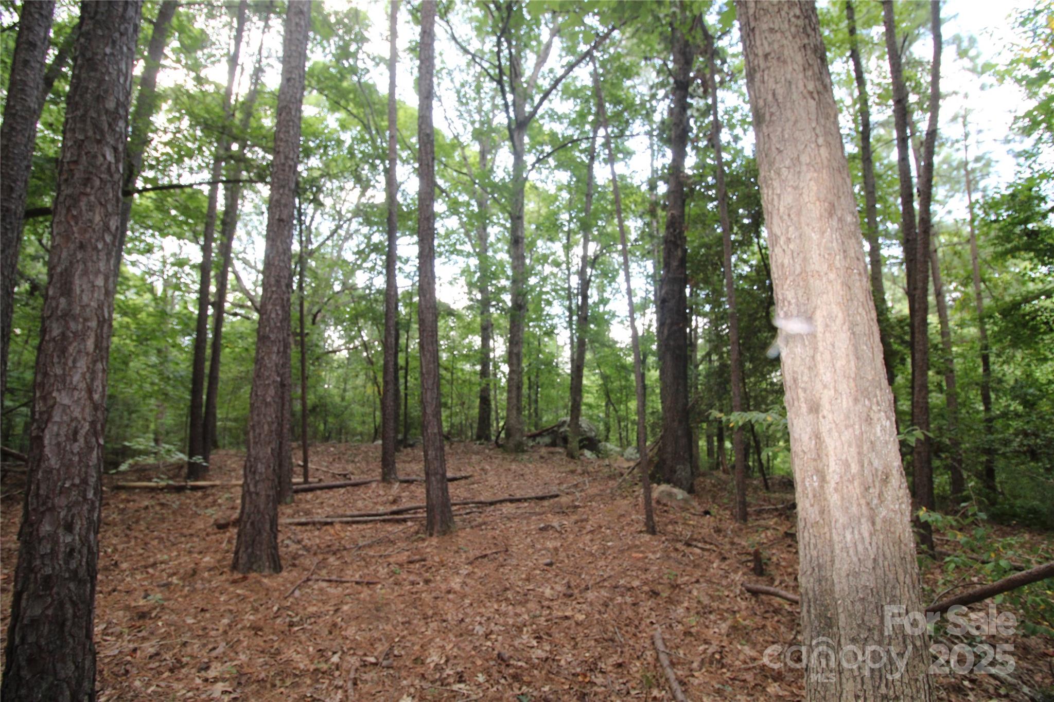Lot 1 Lake Wylie Drive Rock Hill SC 29732