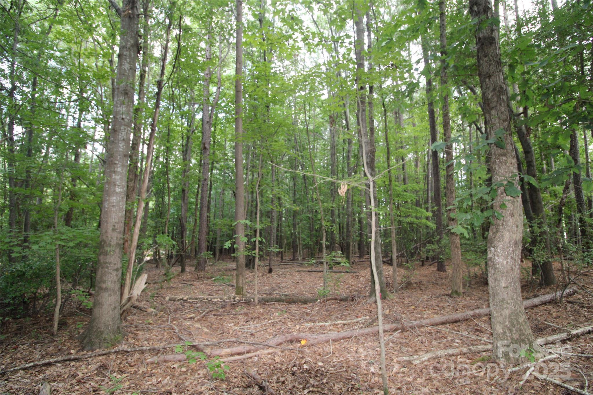 Lot 1 Lake Wylie Drive Rock Hill SC 29732