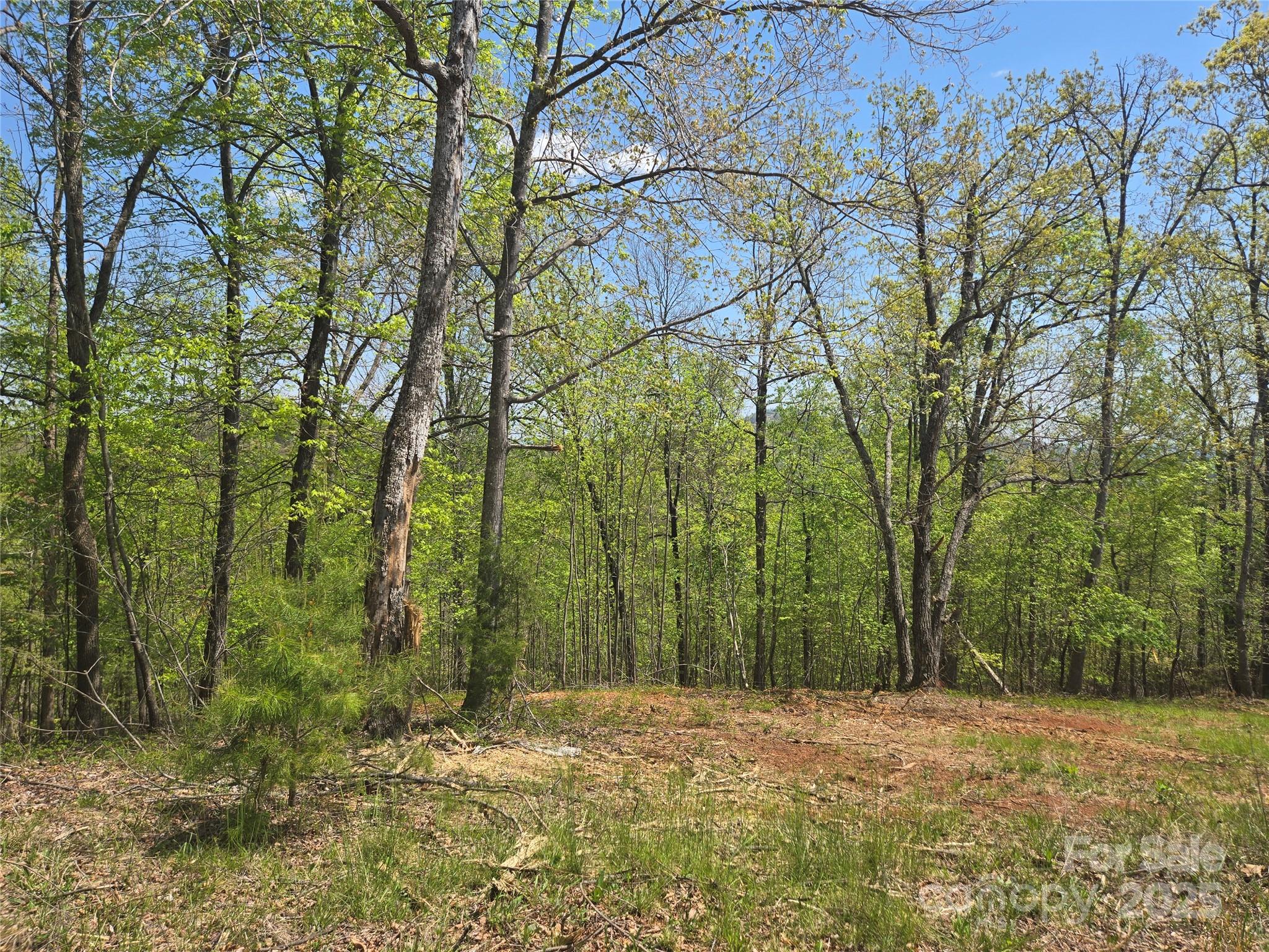 Lot 23 High Rock Ridge Lake Lure NC 28746