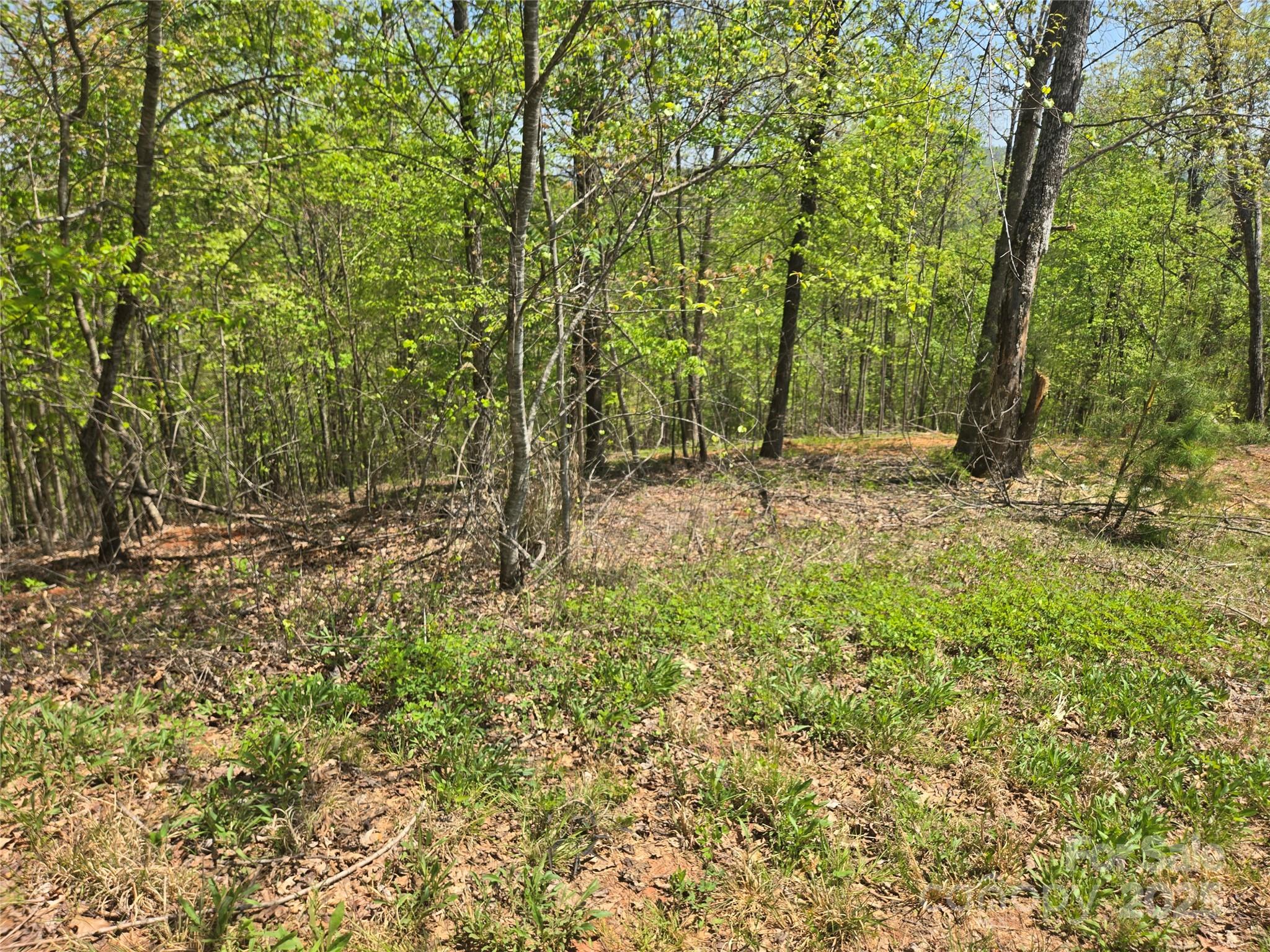 Lot 23 High Rock Ridge Lake Lure NC 28746
