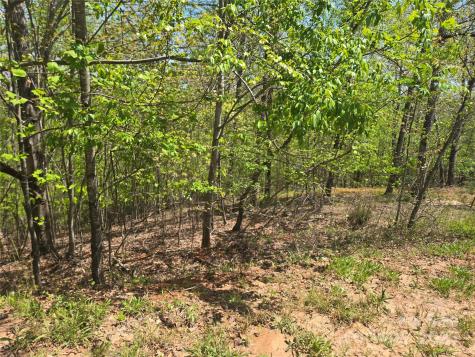 Lot 23 High Rock Ridge Lake Lure NC 28746