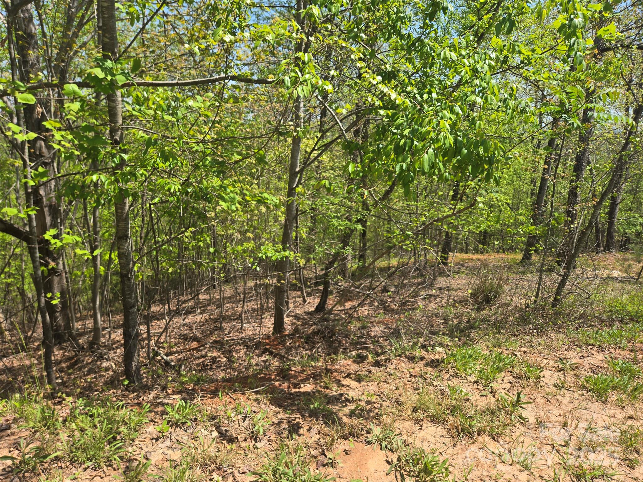 Lot 23 High Rock Ridge Lake Lure NC 28746