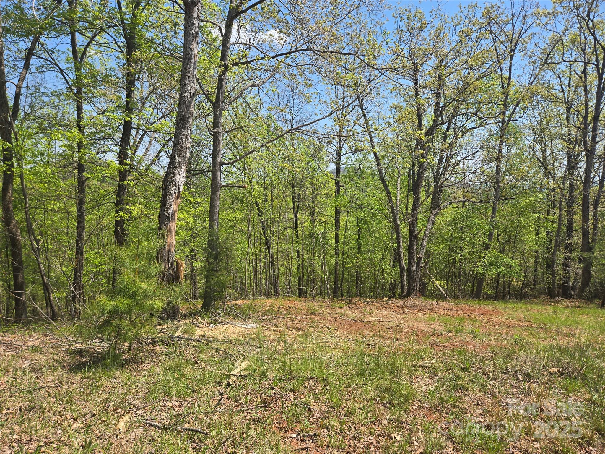 Lot 23 High Rock Ridge Lake Lure NC 28746