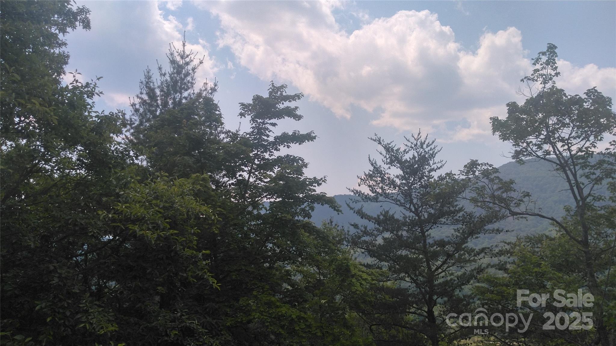 Lot 2f Seminole Path Marion NC 28752