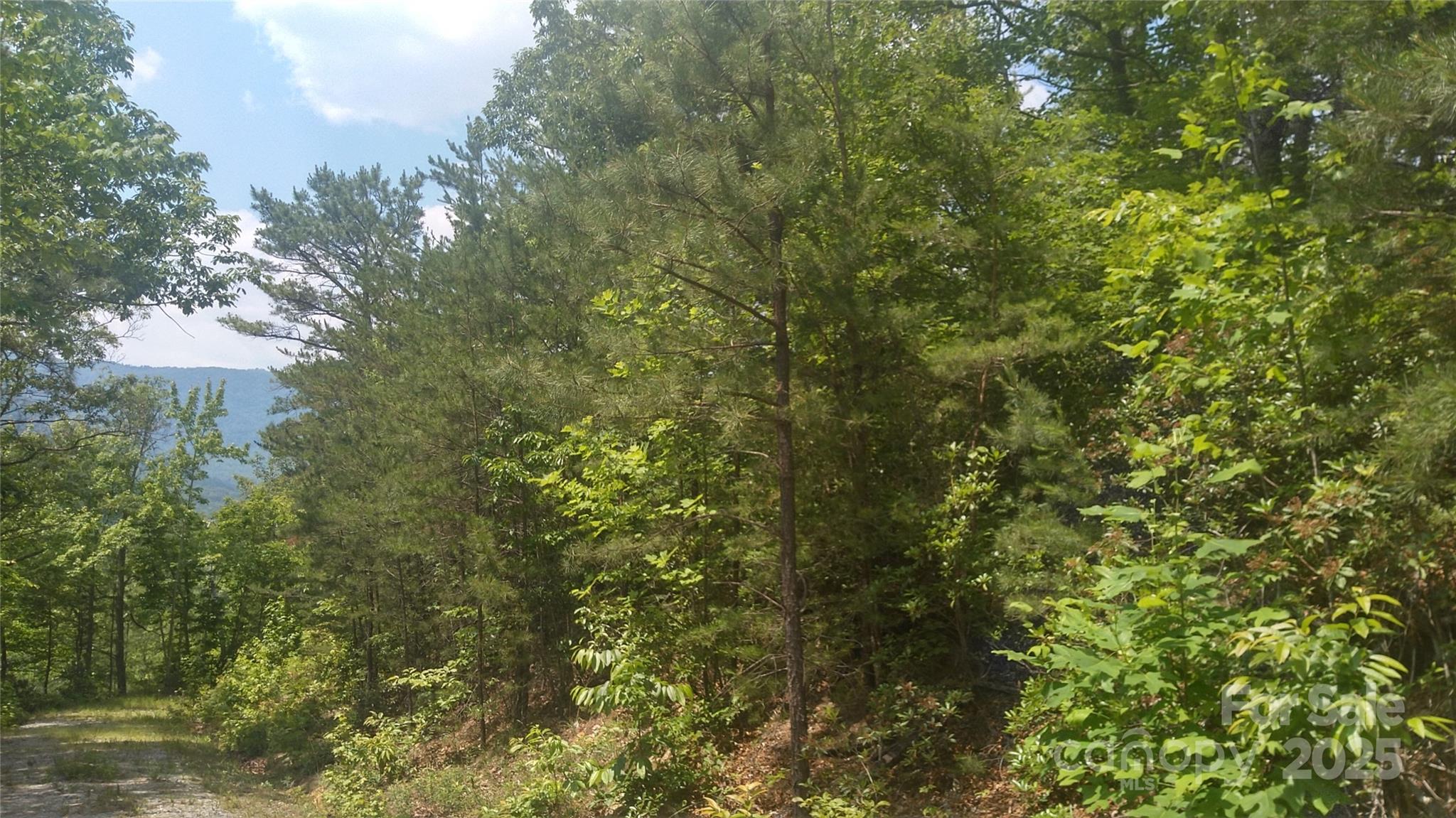Lot 2f Seminole Path Marion NC 28752