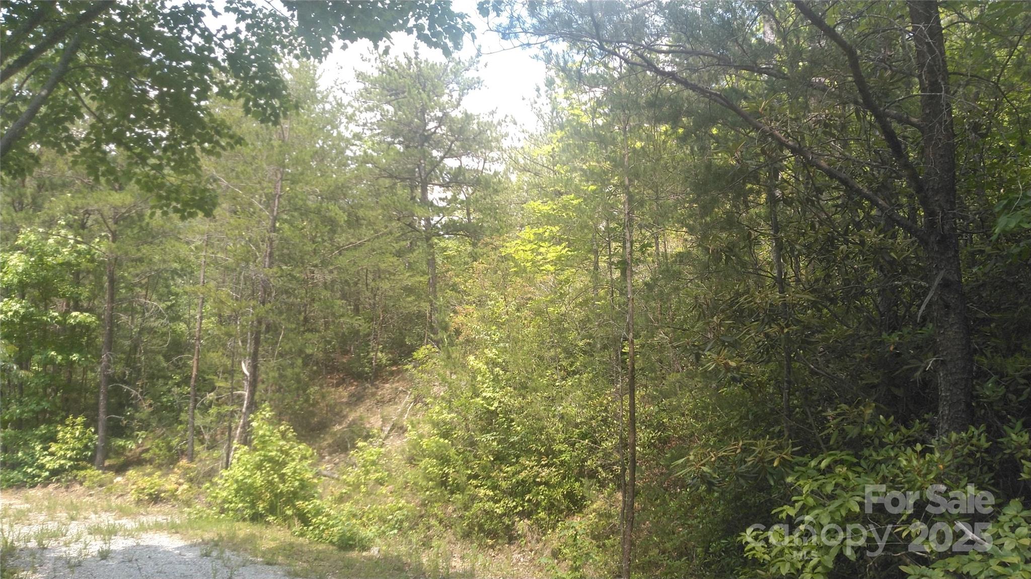 Lot 2f Seminole Path Marion NC 28752