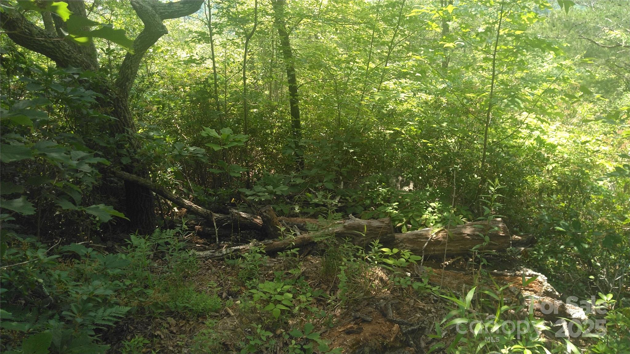 Lot 2f Seminole Path Marion NC 28752