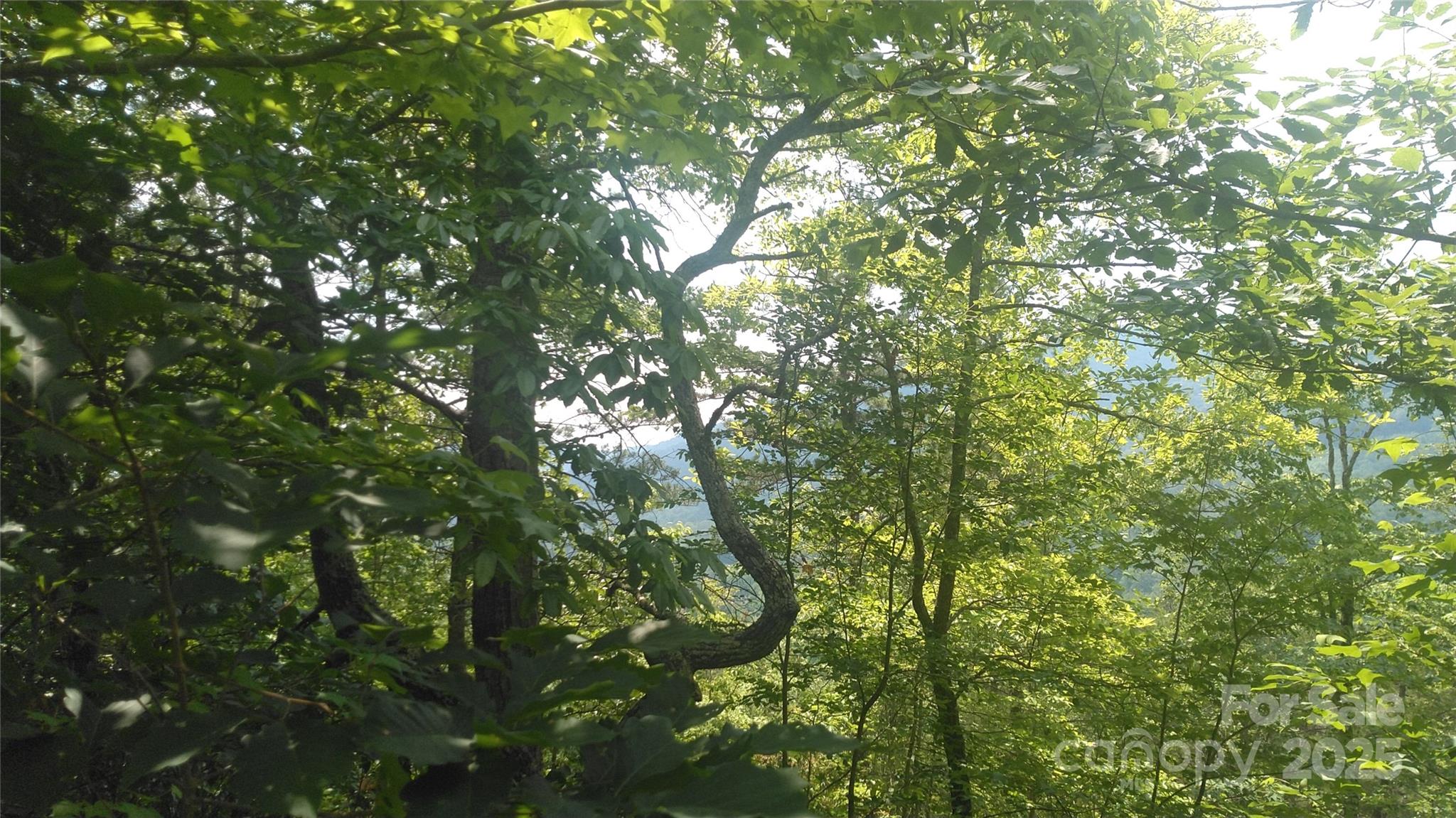 Lot 2f Seminole Path Marion NC 28752