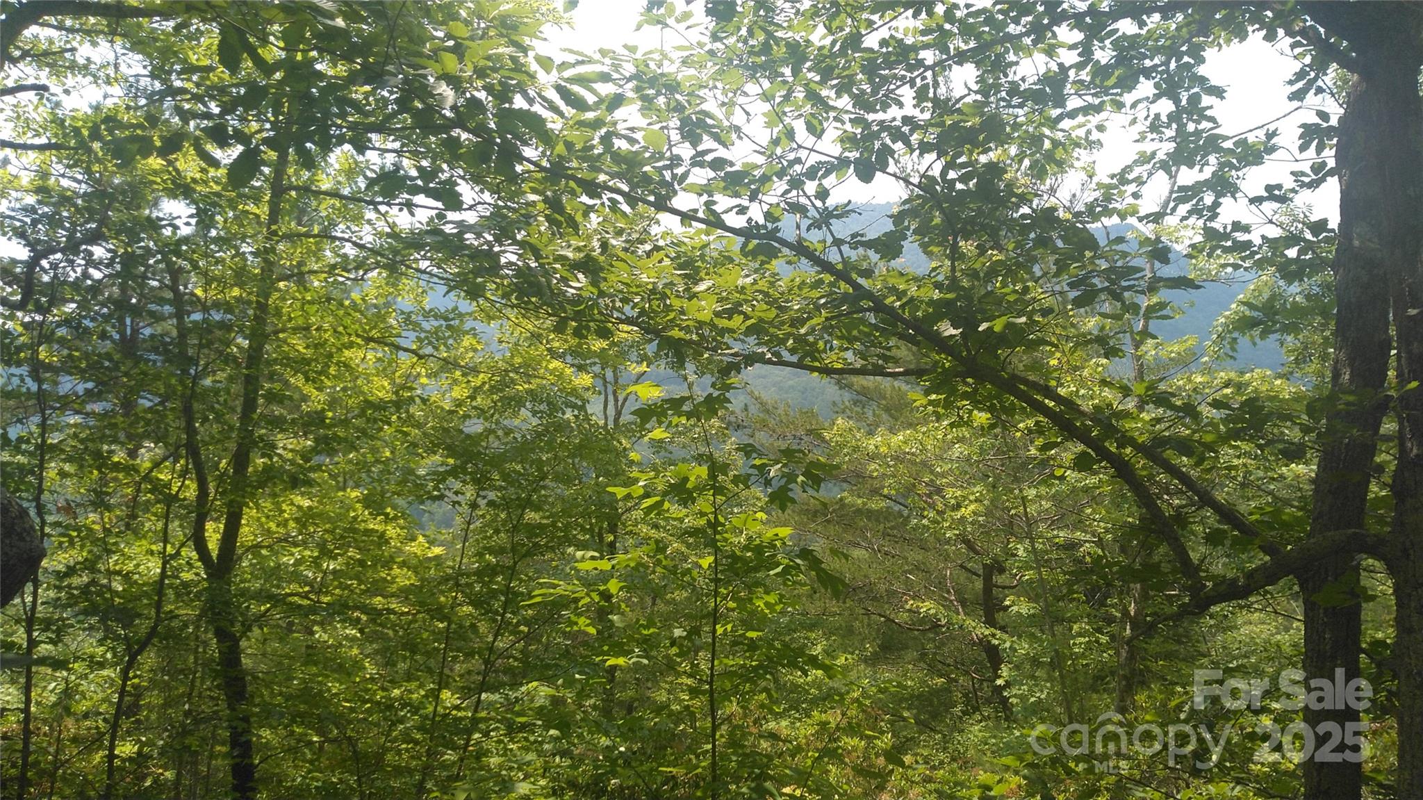 Lot 2f Seminole Path Marion NC 28752