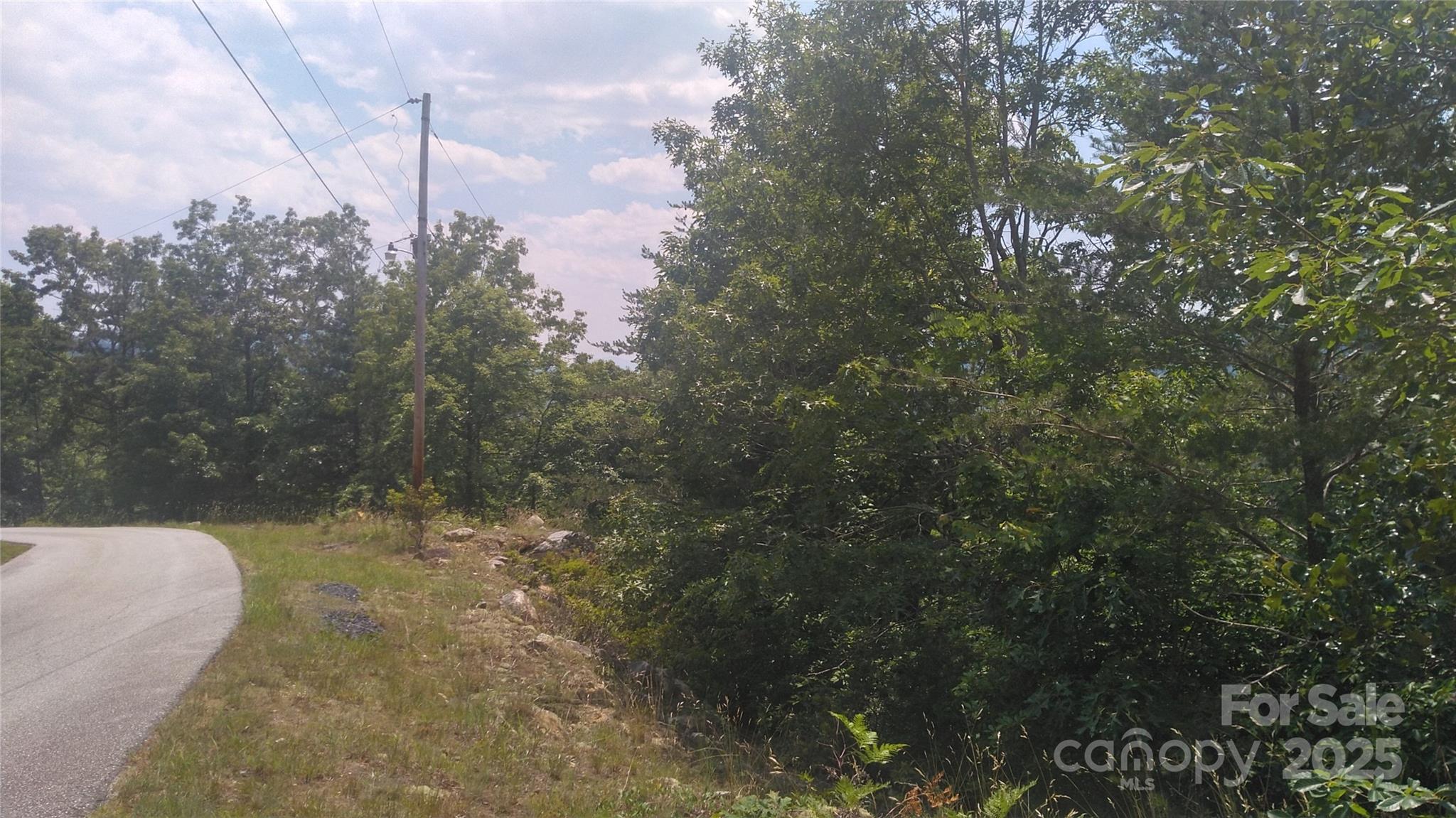 Lot 2f Seminole Path Marion NC 28752