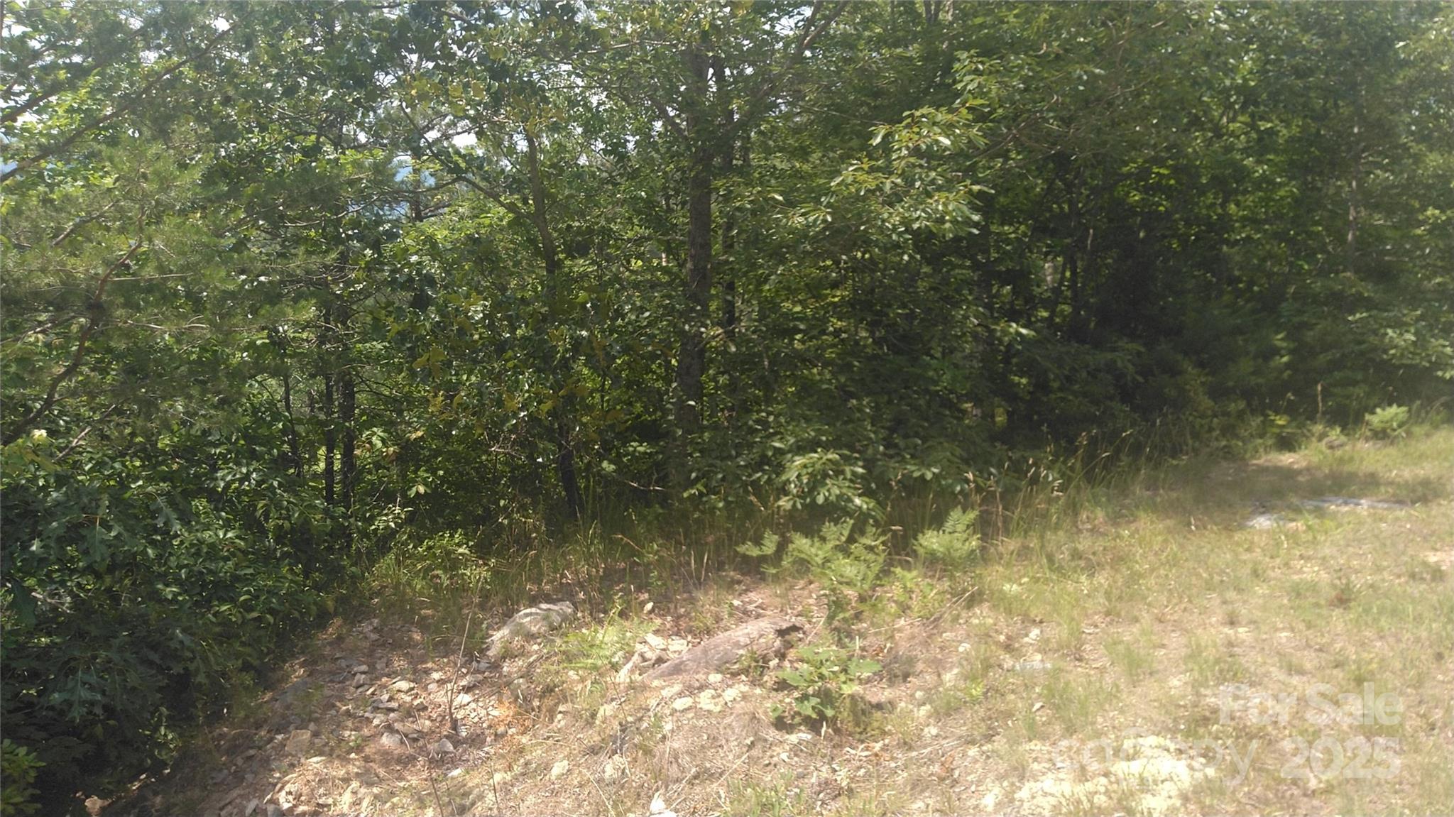 Lot 2f Seminole Path Marion NC 28752