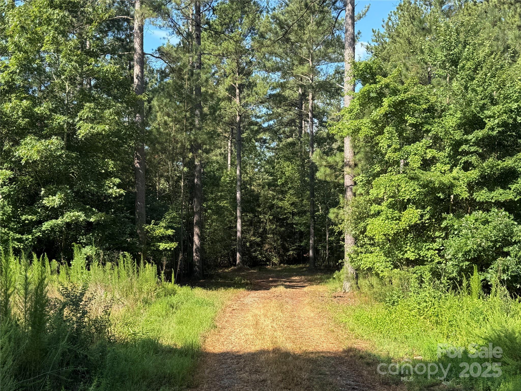 00 Hayes Mill Road Granite Falls NC 28630