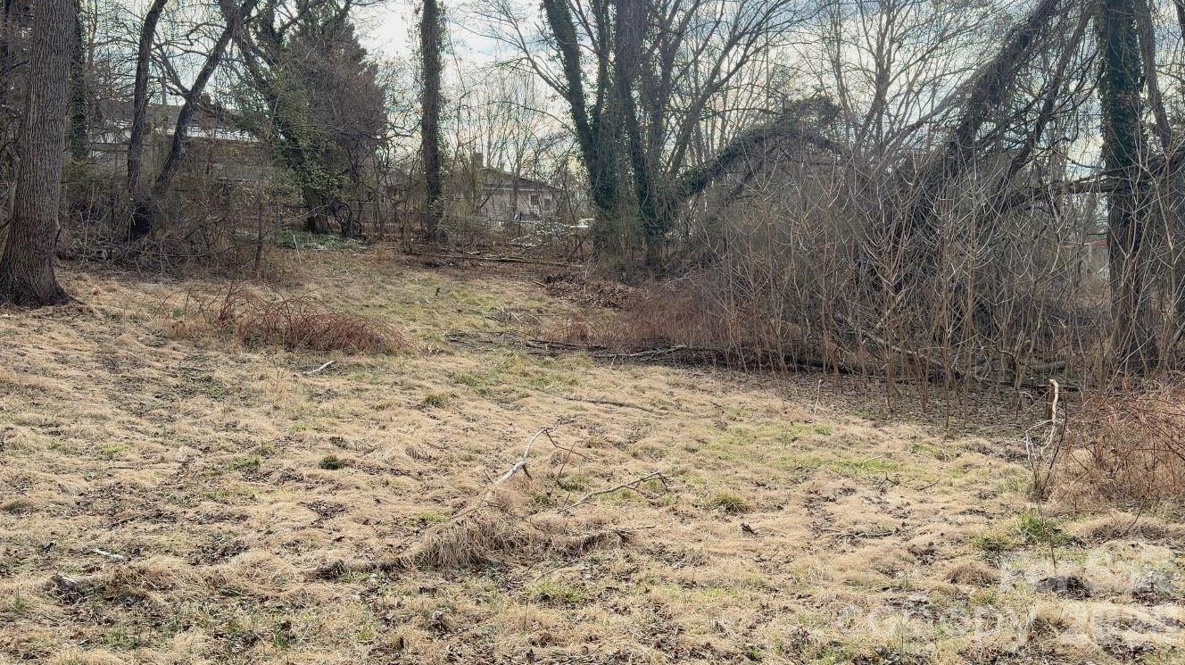 39 Lanvale Avenue Asheville NC 28806