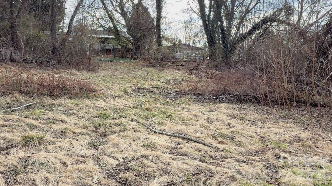 39 Lanvale Avenue Asheville NC 28806
