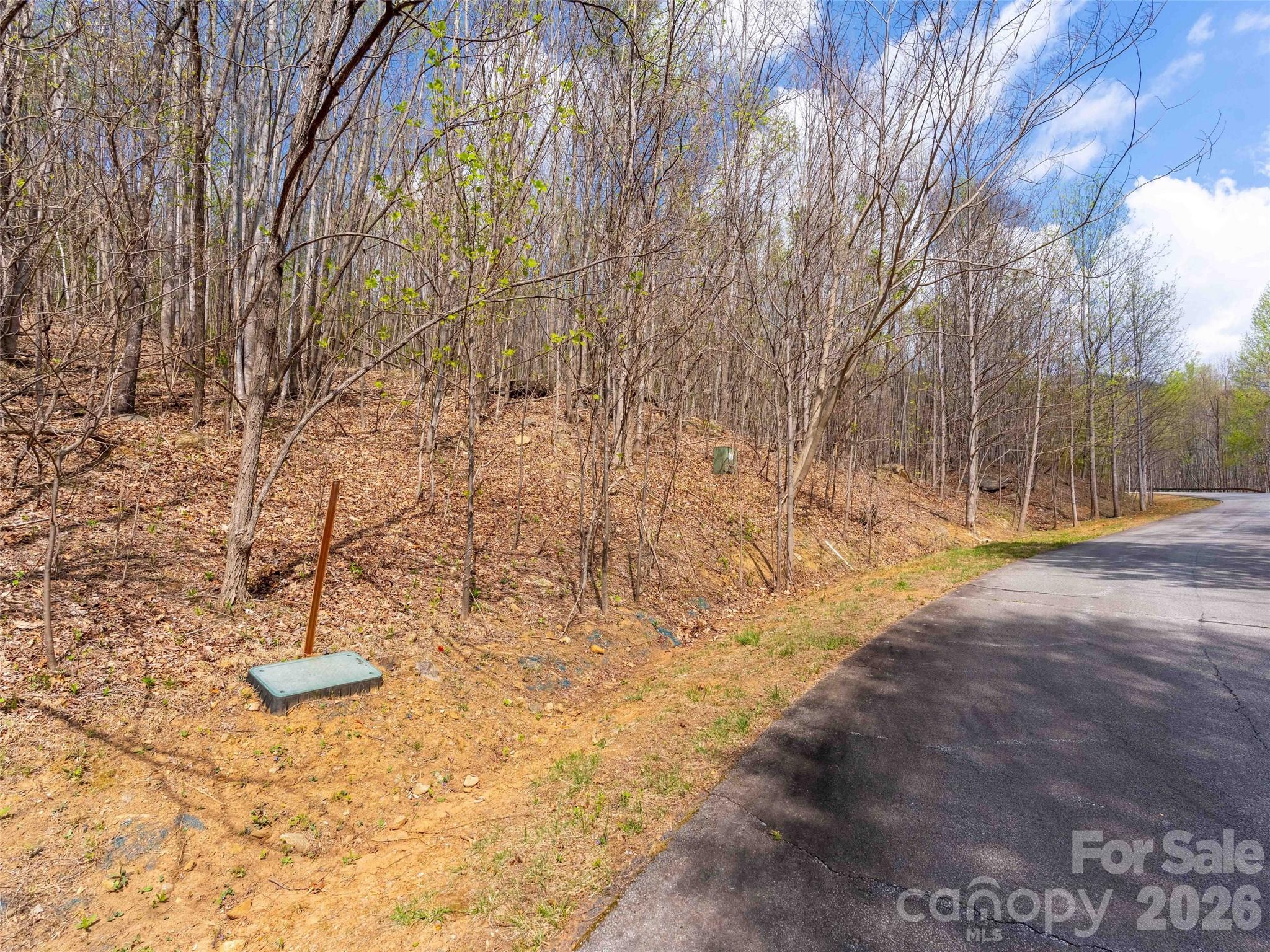 Lot 196 Cherry Hill Mill Spring NC 28756