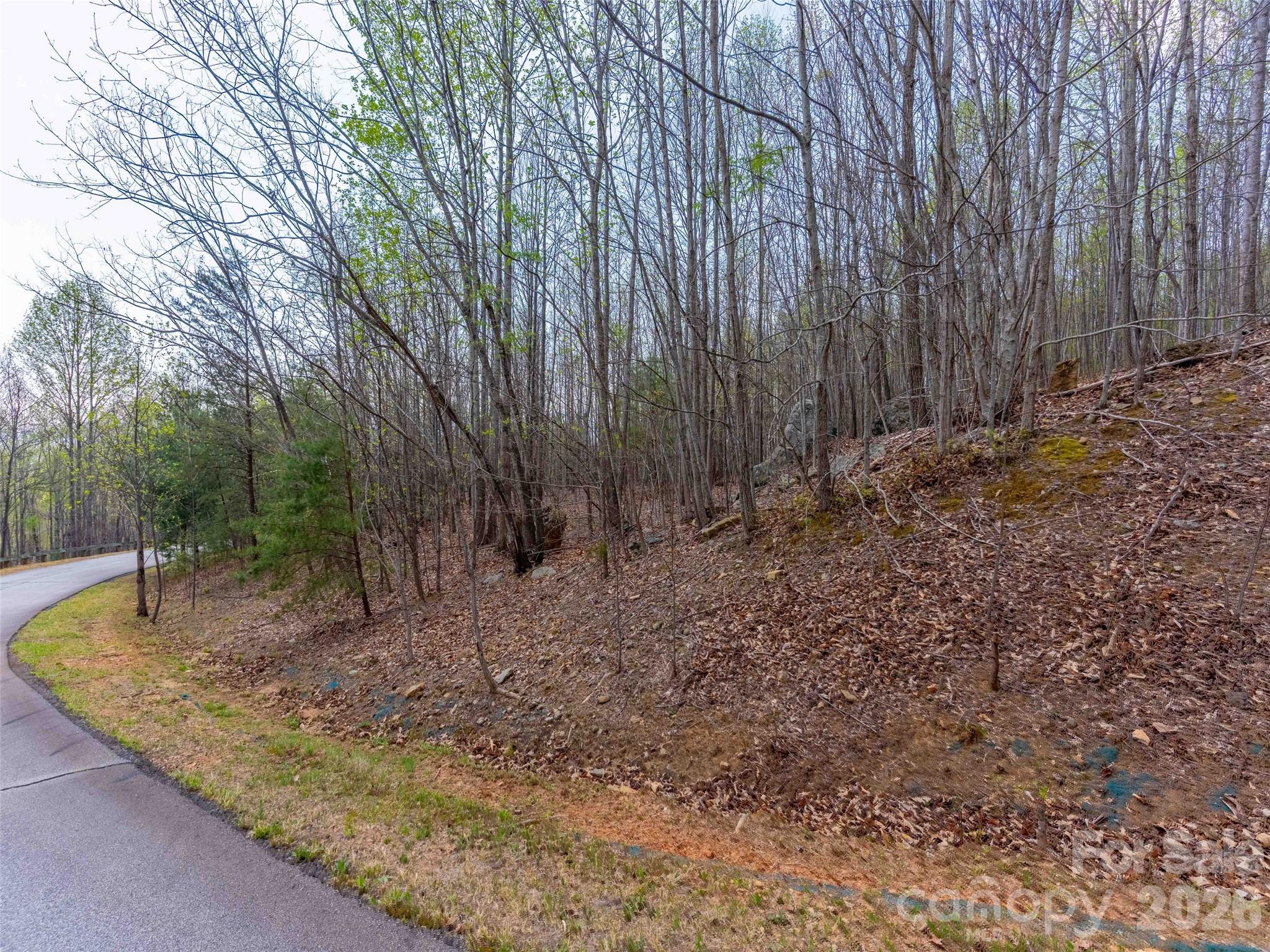Lot 196 Cherry Hill Mill Spring NC 28756